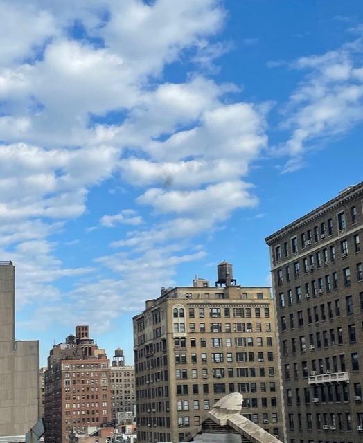 201 West 74th Street, Unit 9C Manhattan, NY 10023 - Photo 5 of 12