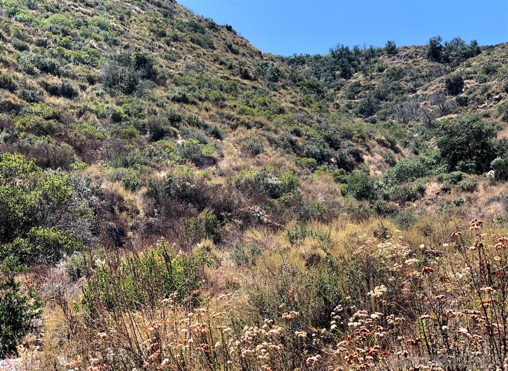 Jamul Drive Jamul, CA 91935 - Photo 12 of 12 This is the view looking up from the end of the easement up to the property to the left of the canyon.