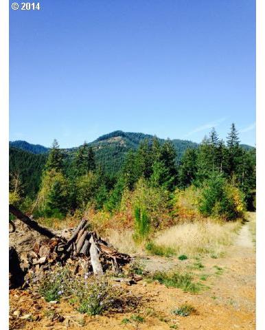 100 Kelly Henke Road Stevenson, WA 98648 - Photo 1 of 9 Gallery Image 1