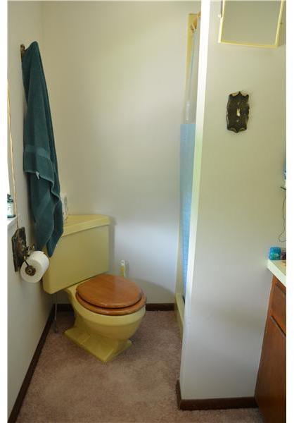 161 Air Shaft Road Apollo, PA 15613 - Photo 15 of 24 Gallery Image 15