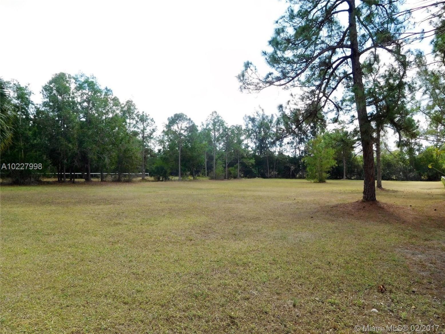 3237 A Road Loxahatchee, FL 33470 - Photo 27 of 28