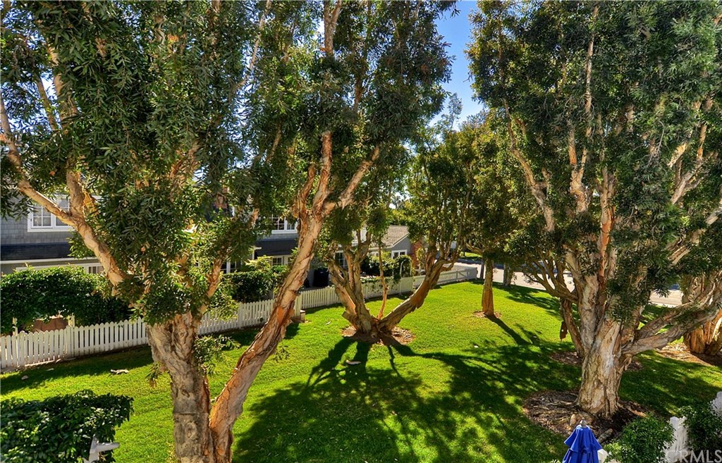 33906 Cape Cove Dana Point, CA 92629 - Photo 5 of 43