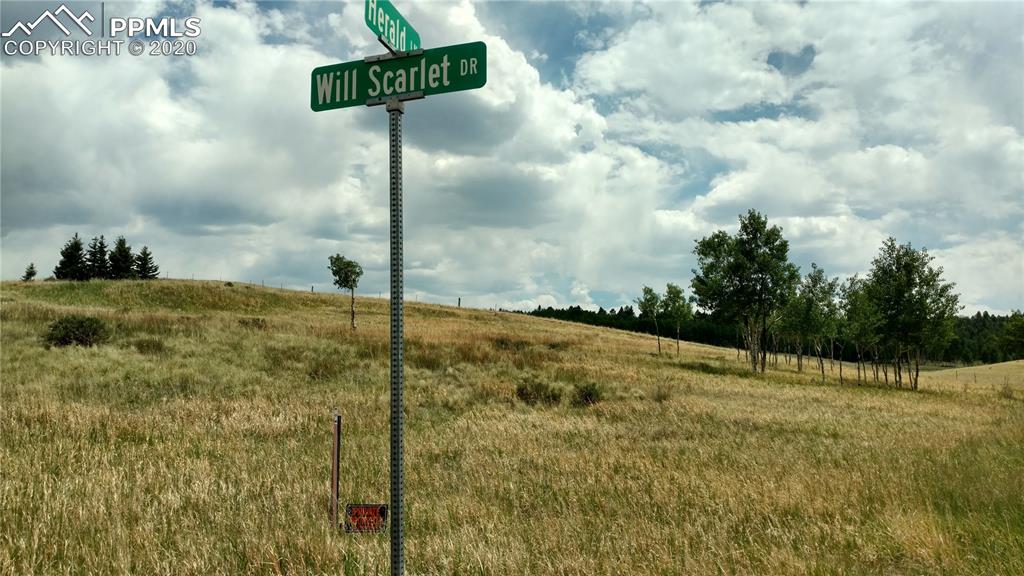 34 Herald Lane Divide, CO 80814 - Photo 3 of 16