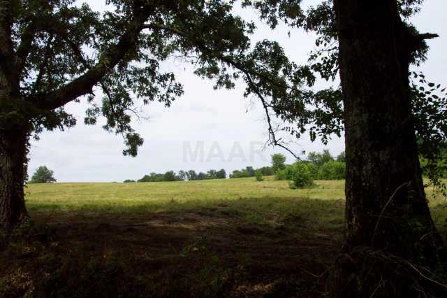 117 Watson Desoto Road Byhalia, MS 38611 - Photo 2 of 2 Gallery Image 2