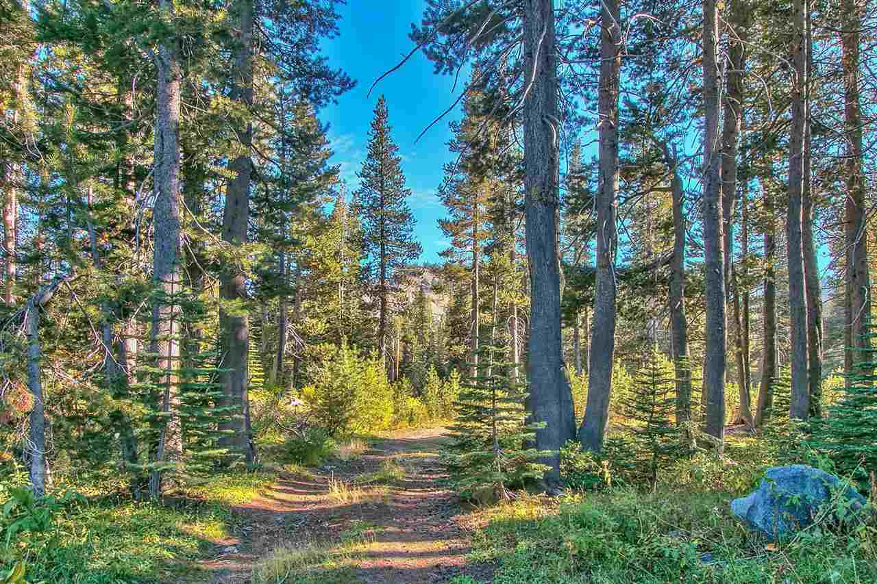 0 Old Donner Summit Road Soda Springs, CA 95728 - Photo 1 of 12