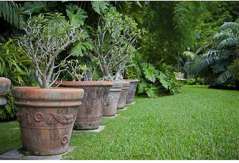 6880 Southwest 82nd Avenue Miami, FL 33143 - Photo 20 of 32