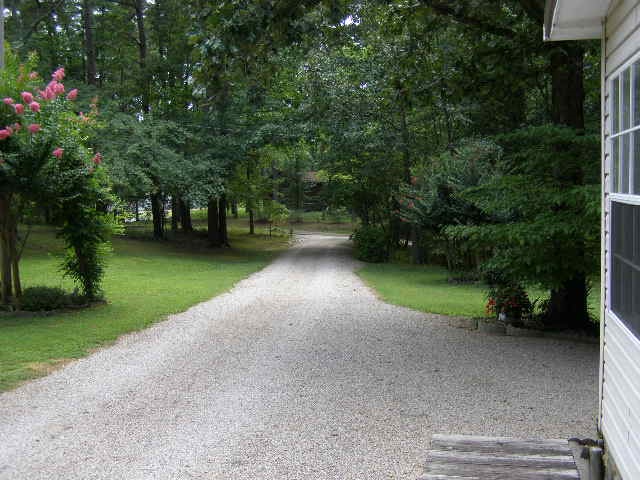 245 Cardinal Road Counce, TN 38326 - Photo 23 of 25