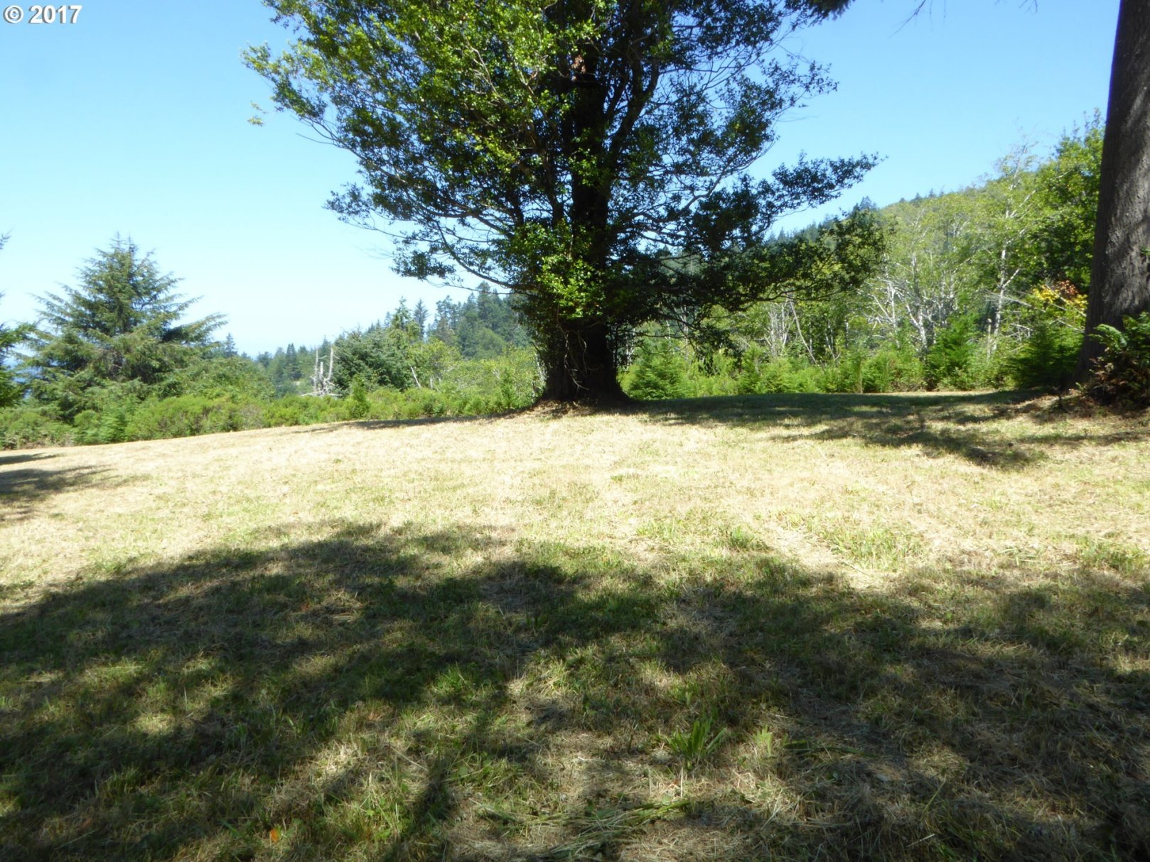 Arizona Ranch Road, Unit 208 Port Orford, OR 97465 - Photo 4 of 23 Gallery Image 4