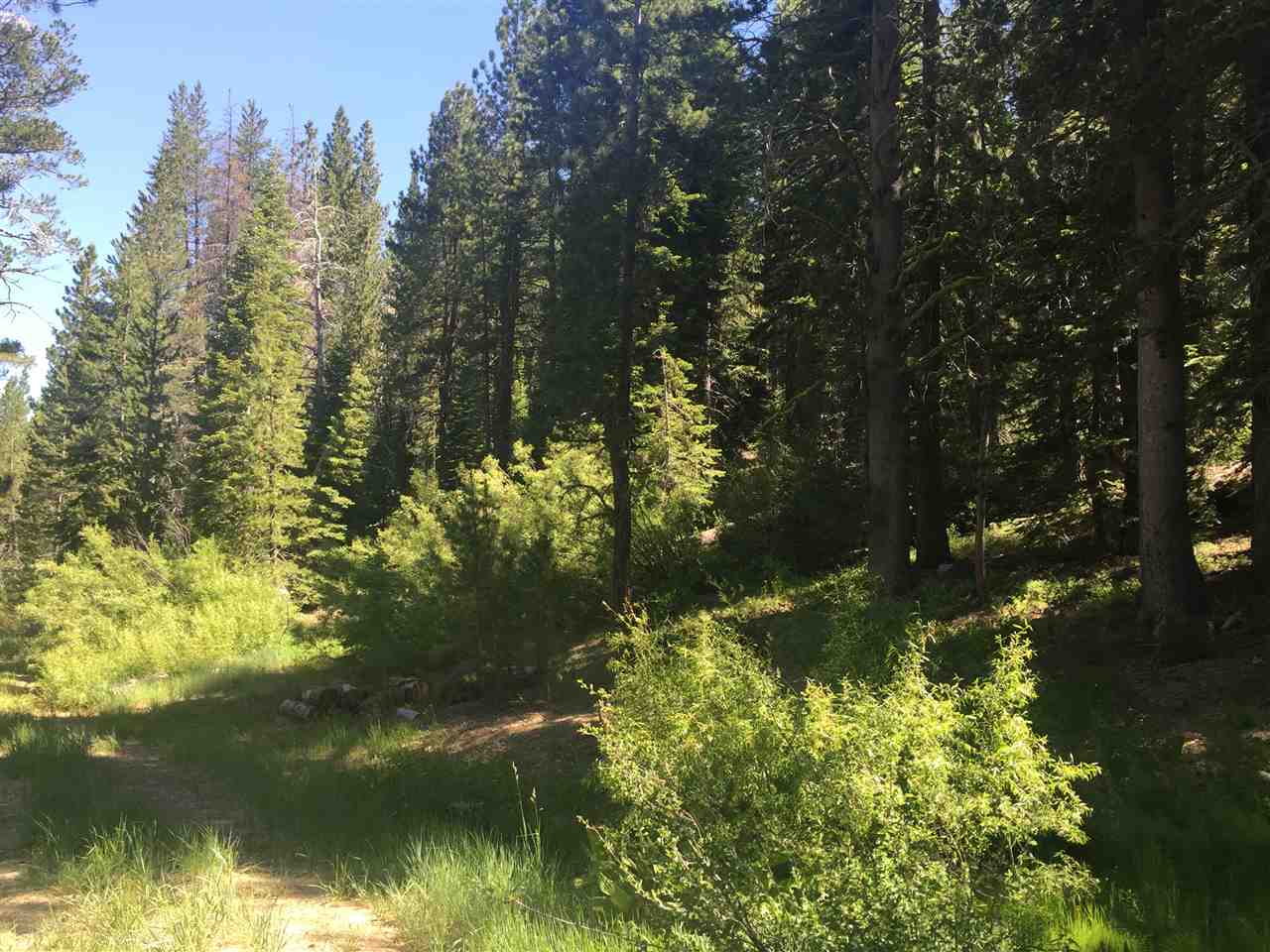 6900 River Road Truckee, CA 96161 - Photo 11 of 17