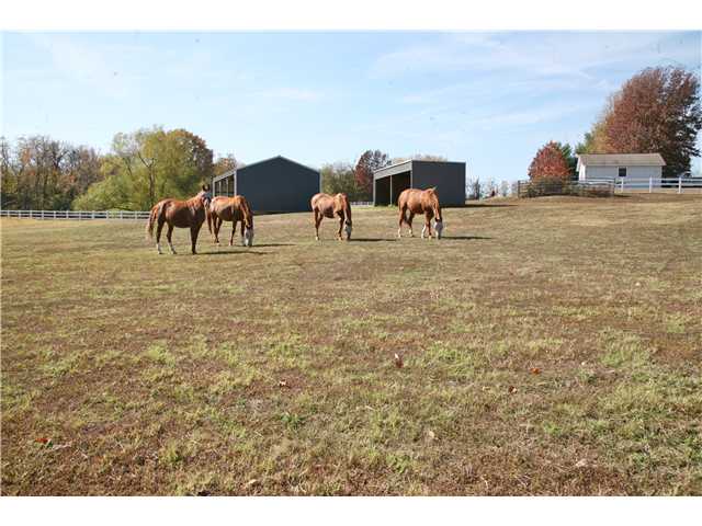 626 Sunnyside Road Brighton, TN 38011 - Photo 11 of 18 Gallery Image 11