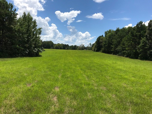 305 Nubbin Ridge Road Middleton, TN 38052 - Photo 15 of 25 Gallery Image 15