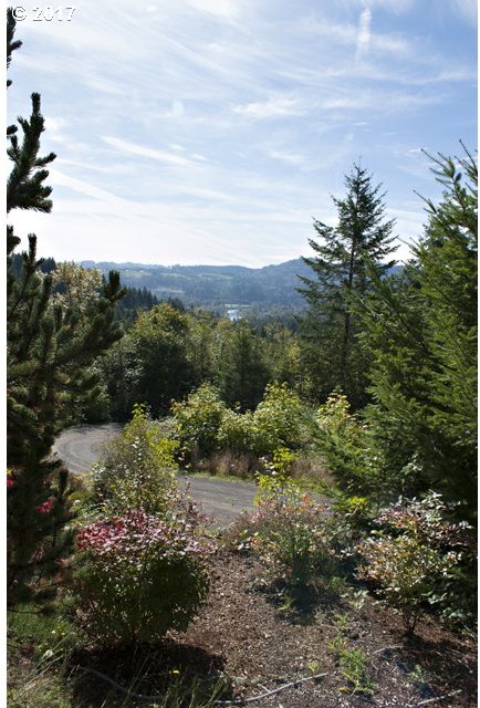 180 Hawks View Road Woodland, WA 98674 - Photo 2 of 29 Gallery Image 2