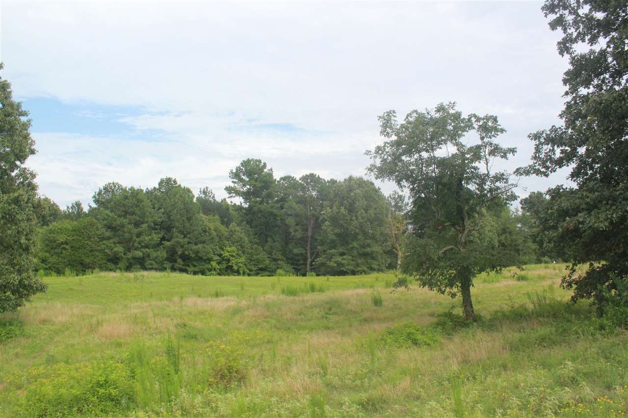 1000 Strickland Road Byhalia, MS 38611 - Photo 19 of 25 Gallery Image 19