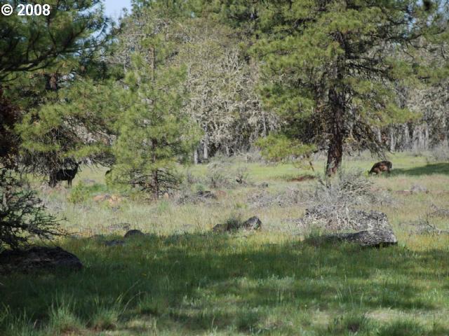 Old Stage Road Goldendale, WA 98620 - Photo 1 of 16 Gallery Image 1