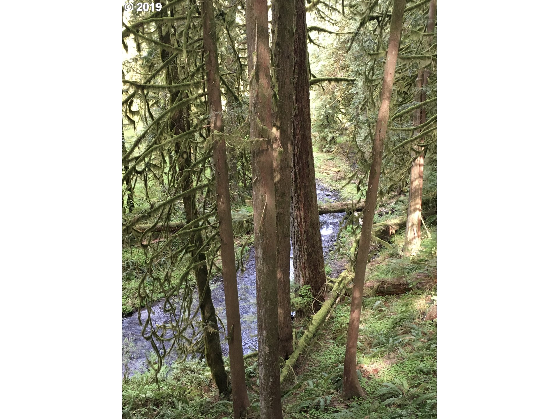 26497 East Henry Creek Road Rhododendron, OR 97049 - Photo 2 of 24 Gallery Image 2
