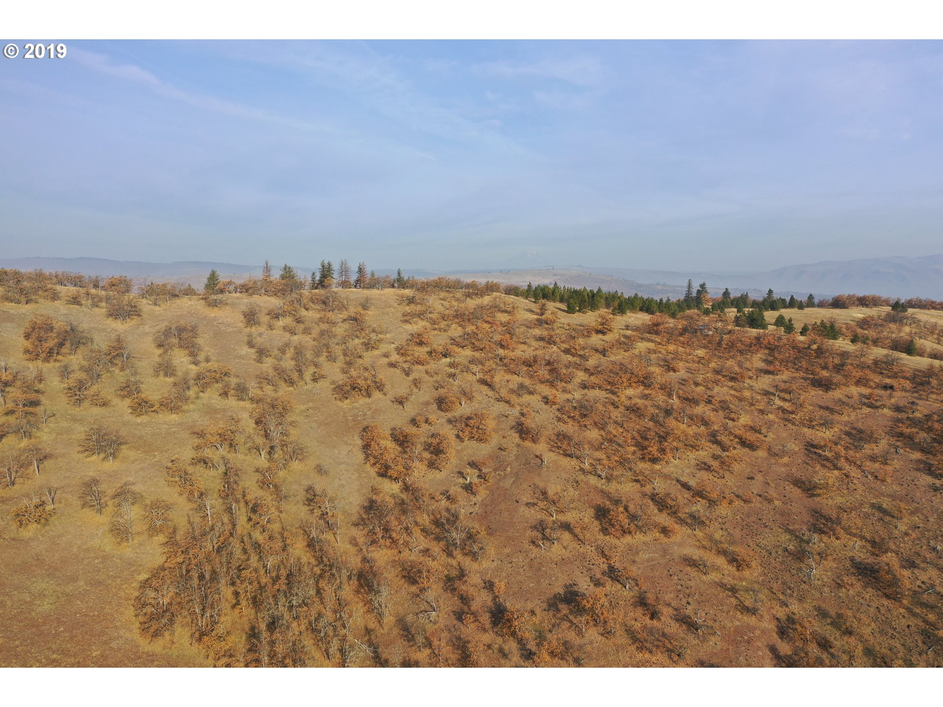 Orchard Road The Dalles, OR 97058 - Photo 2 of 14 Gallery Image 2