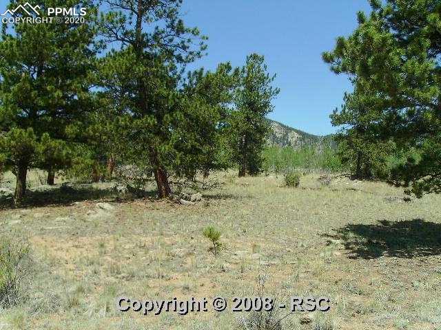 98 Teller Road Lake George, CO 80827 - Photo 3 of 4