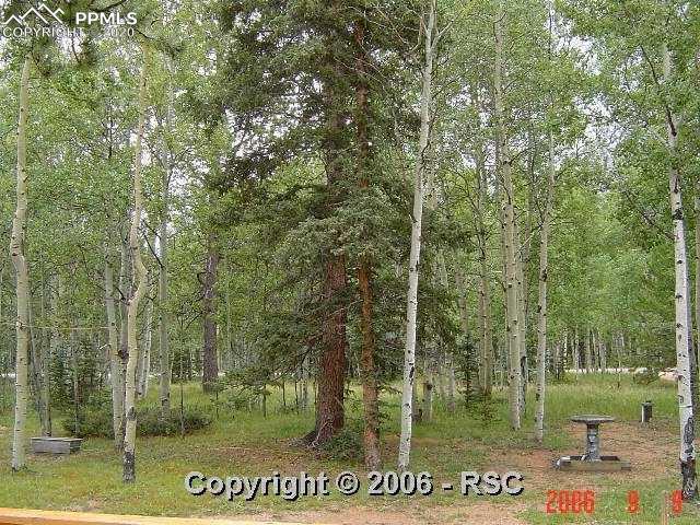 2004 Cedar Mountain Road Divide, CO 80814 - Photo 2 of 11 Beautiful view of the Aspen Grove from the front of the home.