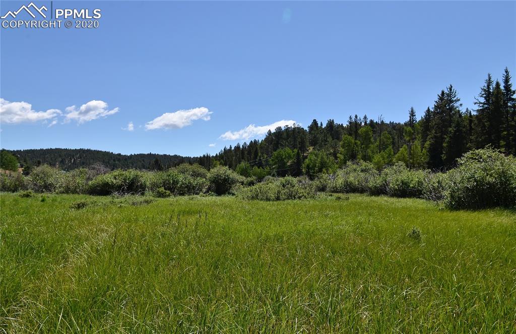 87 Apache Trail Divide, CO 80814 - Photo 8 of 20 Looking east from the heart of 87 Apache Trail.