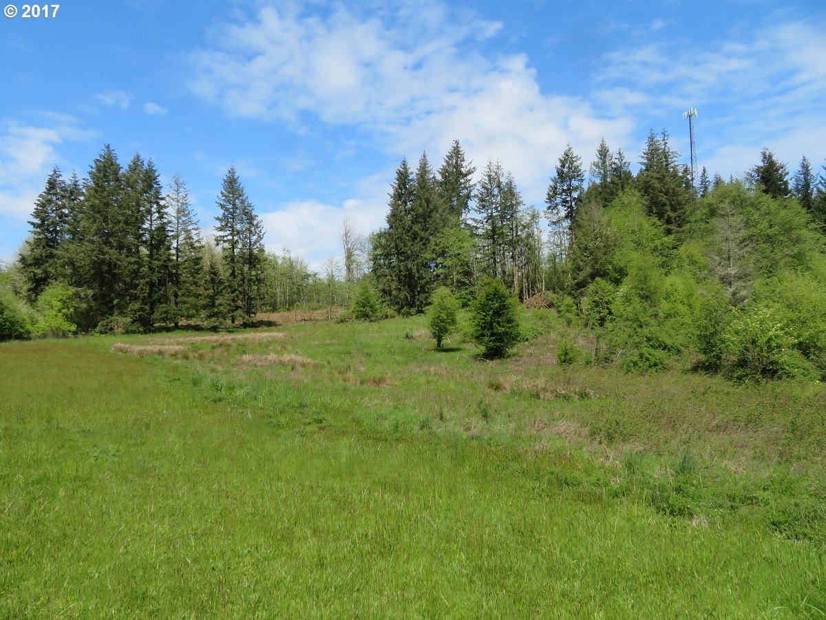 South Military Road, Unit 2 Winlock, WA 98596 - Photo 6 of 26