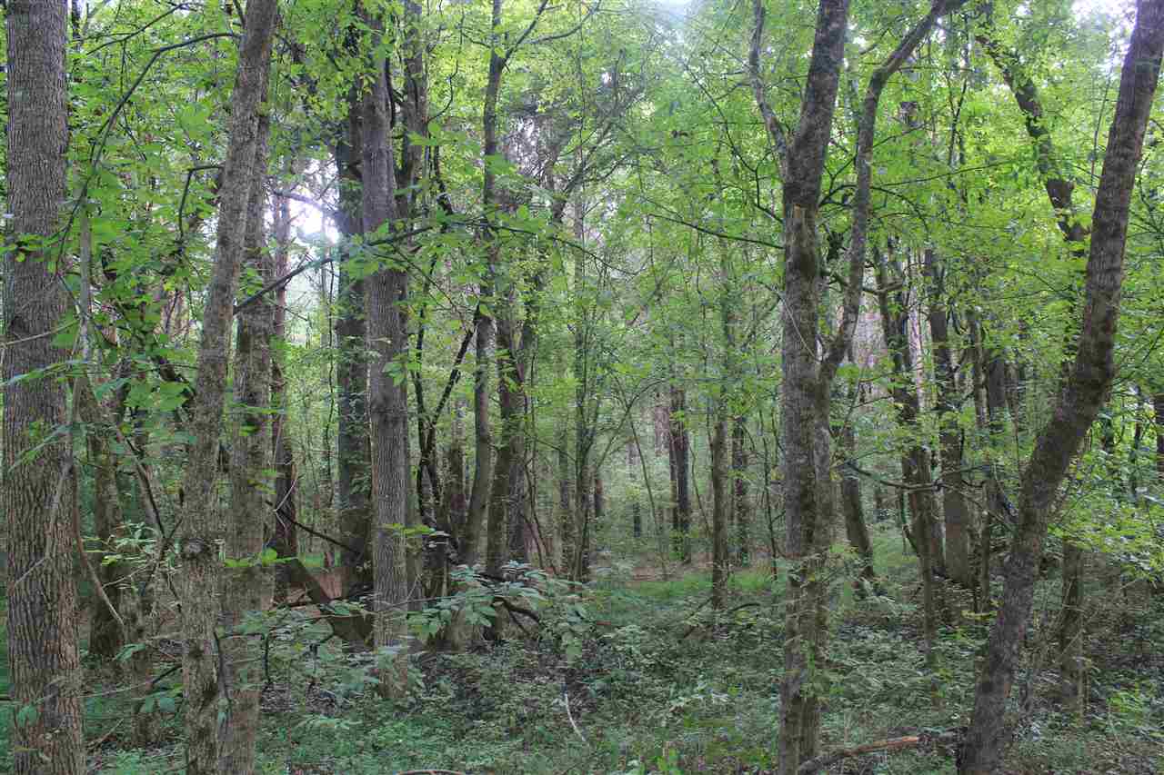 0 Robert Ford Road Waterford, MS 38685 - Photo 25 of 25