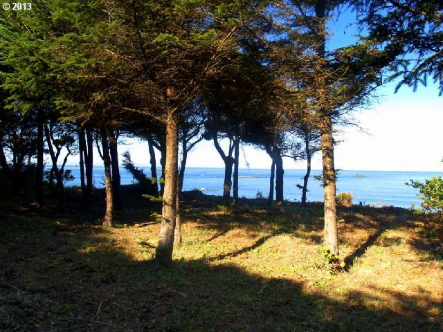 North Chantrelle Lane Gold Beach, OR 97444 - Photo 10 of 16