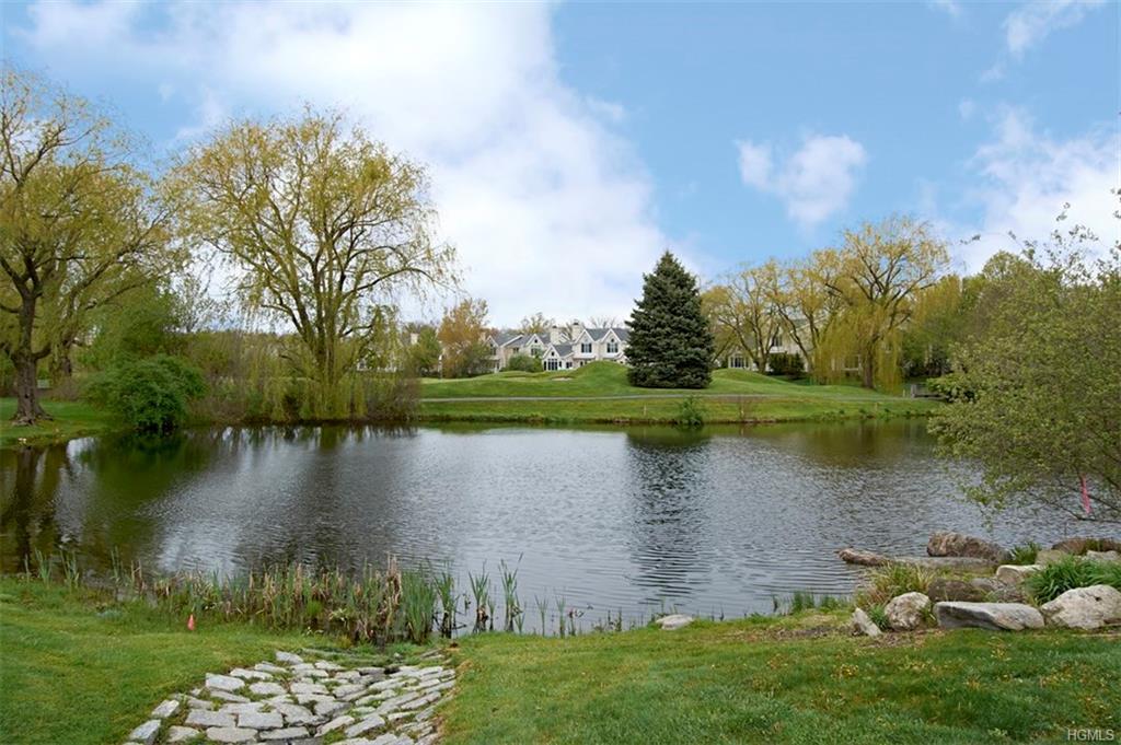 43 Arrowwood Circle Rye Brook, NY 10573 - Photo 20 of 20