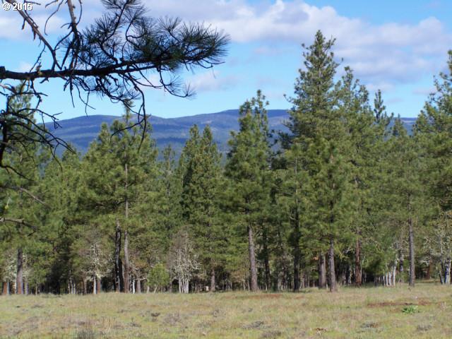 575 Corbett Road Goldendale, WA 98620 - Photo 1 of 7 Gallery Image 1