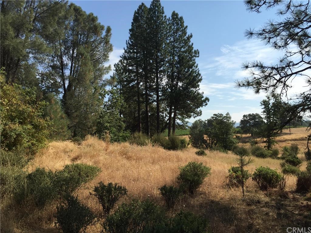 272 East Whitlock Road Mariposa, CA 95338 - Photo 1 of 1 Gallery Image 1