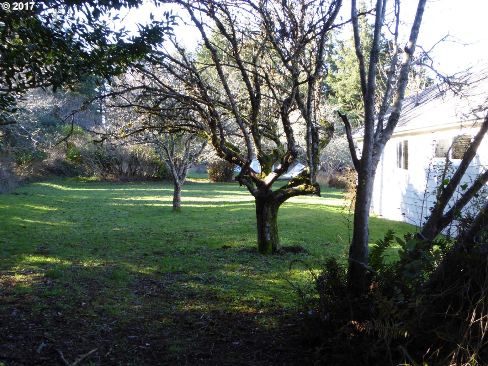 2727 Port Orford Loop Road Port Orford, OR 97465 - Photo 15 of 27 Gallery Image 15