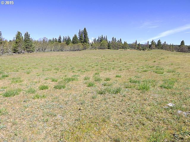 Orchard Heights Road Goldendale, WA 98620 - Photo 9 of 14 Gallery Image 9