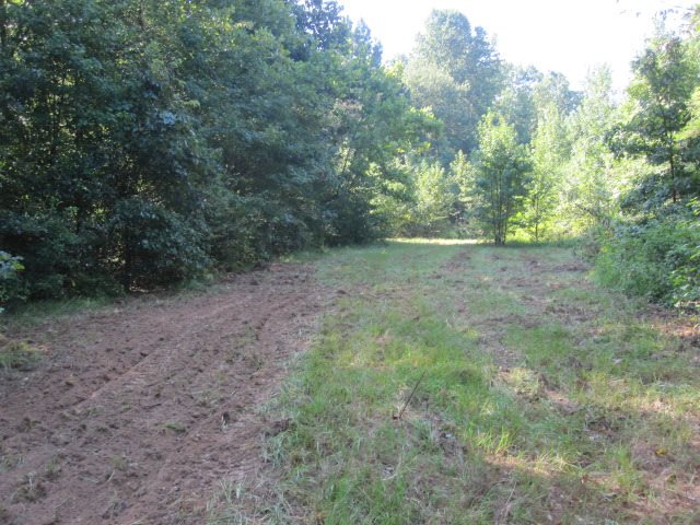 252 Duke Road Pope, MS 38658 - Photo 24 of 25 Gallery Image 24