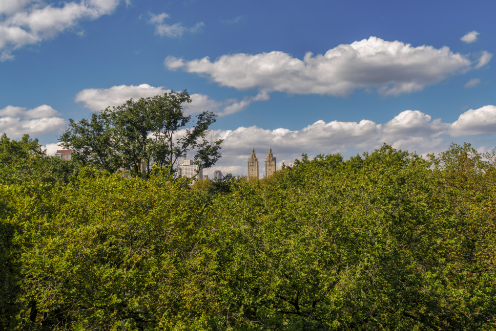 953 5th Avenue, Unit 5/6 Manhattan, NY 10075 - Photo 13 of 22