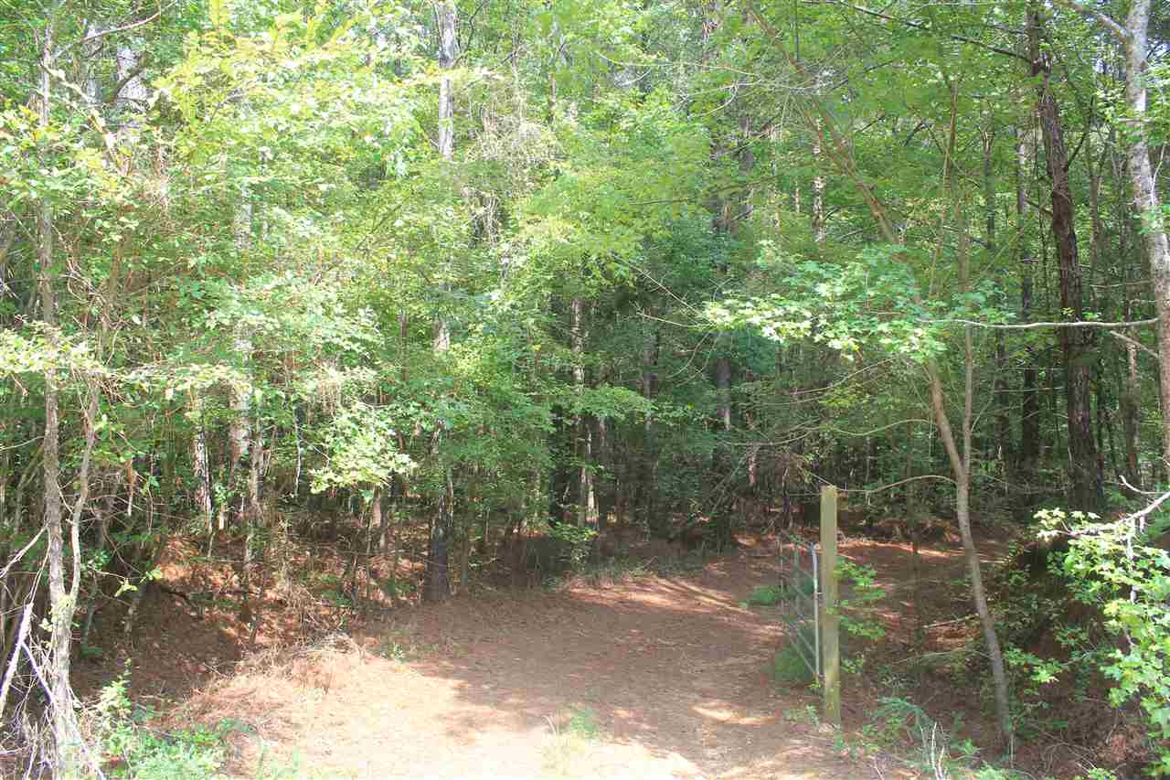 0 Robert Ford Road Waterford, MS 38685 - Photo 2 of 25