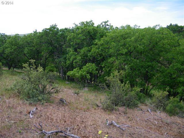 105 High Valley Road Goldendale, WA 98620 - Photo 16 of 16 Gallery Image 16