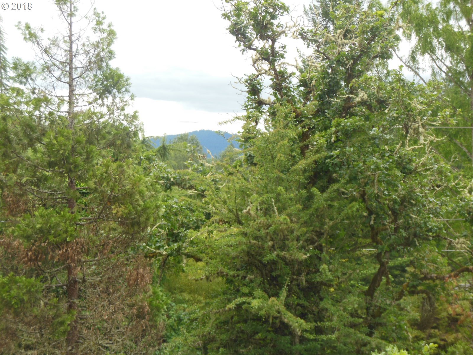 Hillside Drive Springfield, OR 97478 - Photo 7 of 15