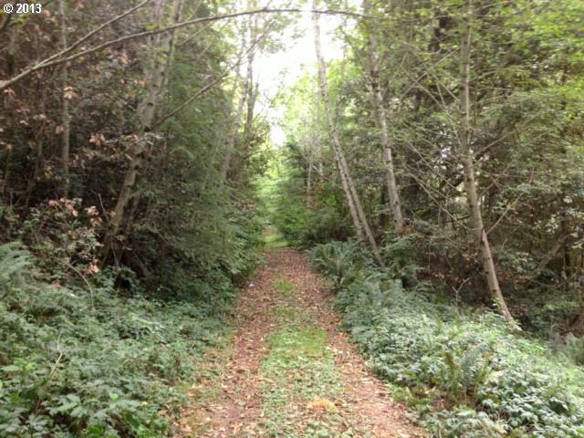 Taylor Creek Road Brookings, OR 97415 - Photo 2 of 12 Gallery Image 2