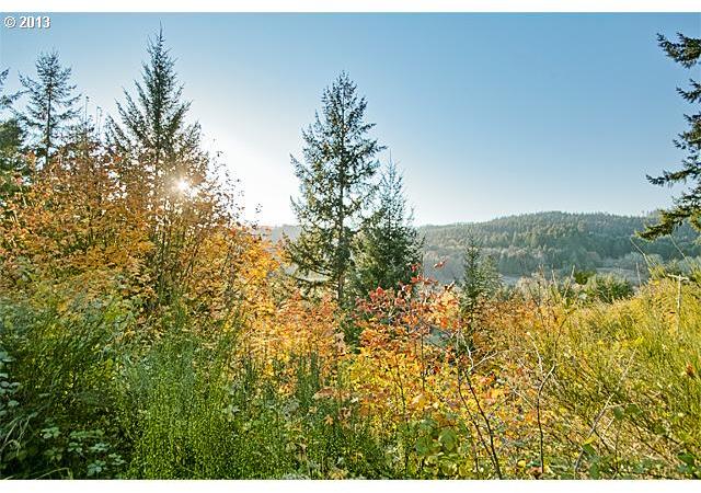 53143 Southwest Scoggins Valley Road Gaston, OR 97119 - Photo 13 of 16 Gallery Image 13
