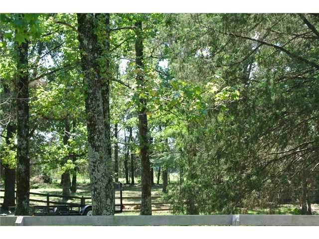 11885 East Holmes Road Collierville, TN 38017 - Photo 11 of 25 Gallery Image 11