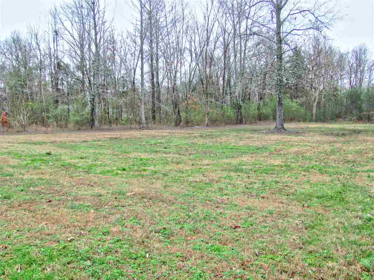 4895 Warren Road Oakland, TN 38060 - Photo 4 of 7 Gallery Image 4