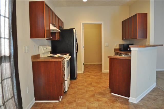 Open Kitchen Area