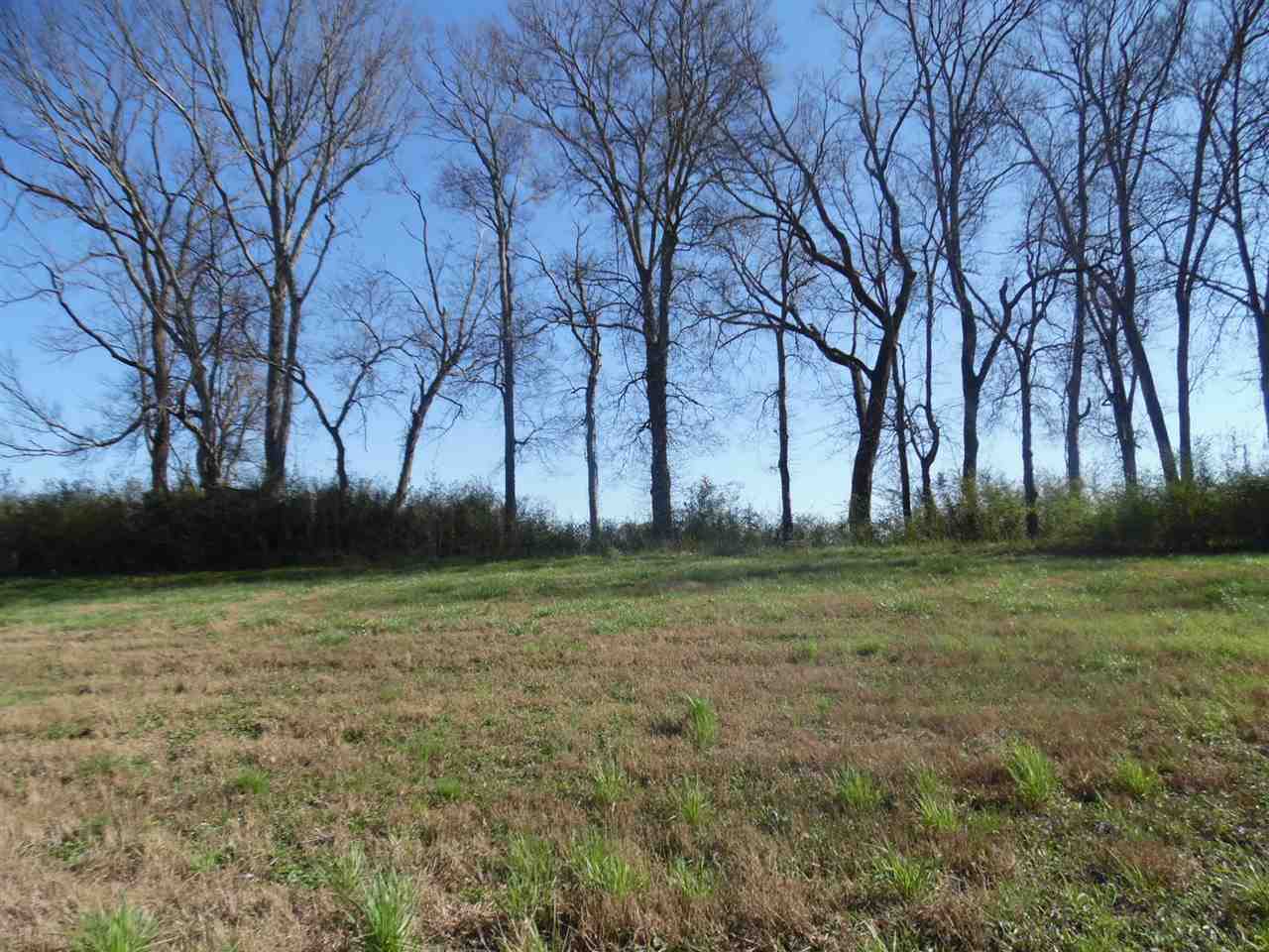 95 River Breeze Estates Road Savannah, TN 38372 - Photo 7 of 10