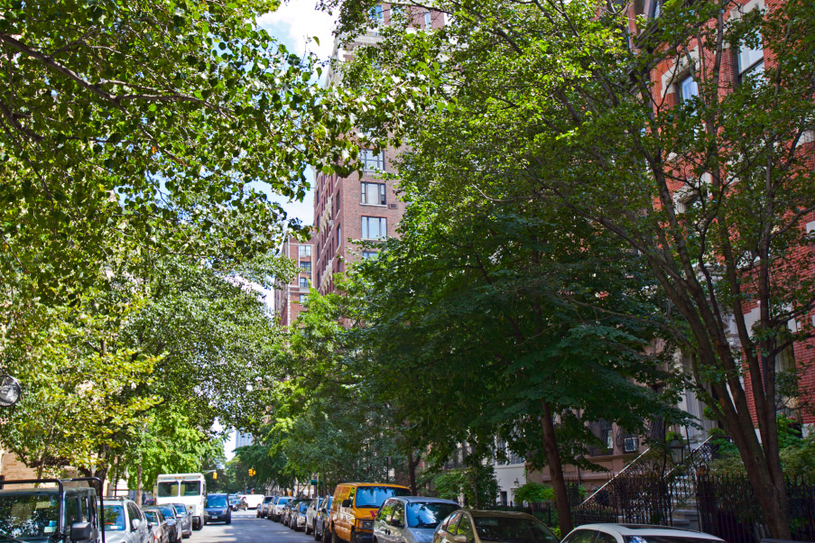 48 East 83rd Street, Unit 3 Manhattan, NY 10028 - Photo 7 of 8