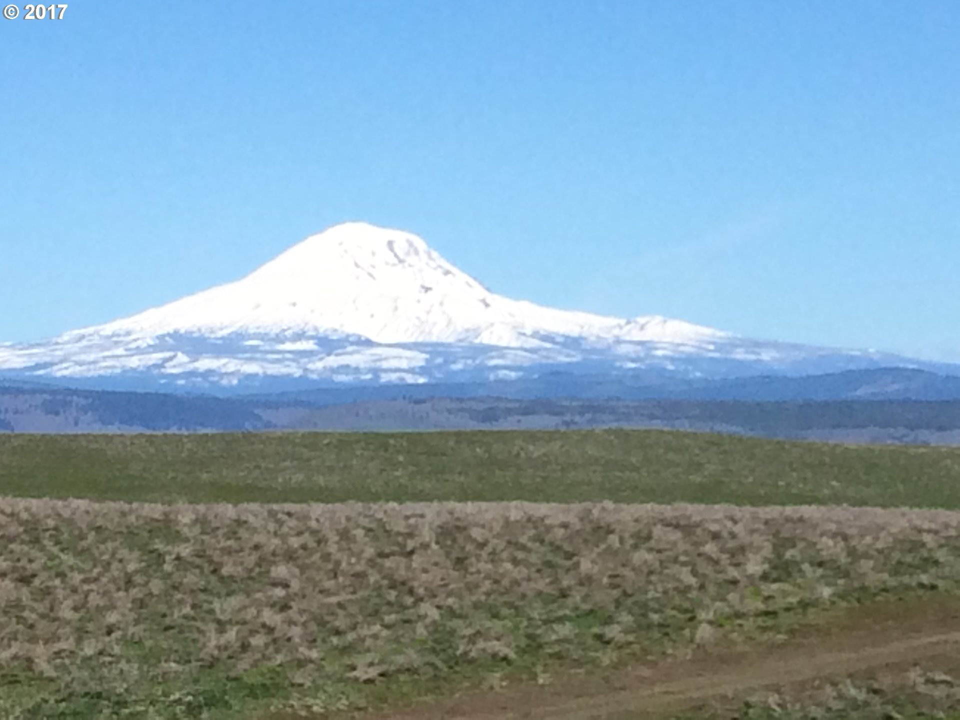 Shull Ranch Road, Unit 2A Centerville, WA 98613 - Photo 1 of 32 Gallery Image 1