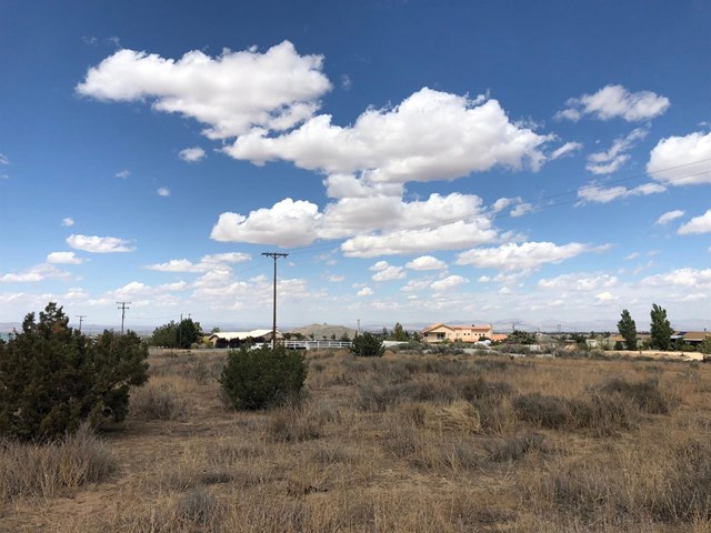 0 Nielson Phelan, CA 92371 - Photo 2 of 7