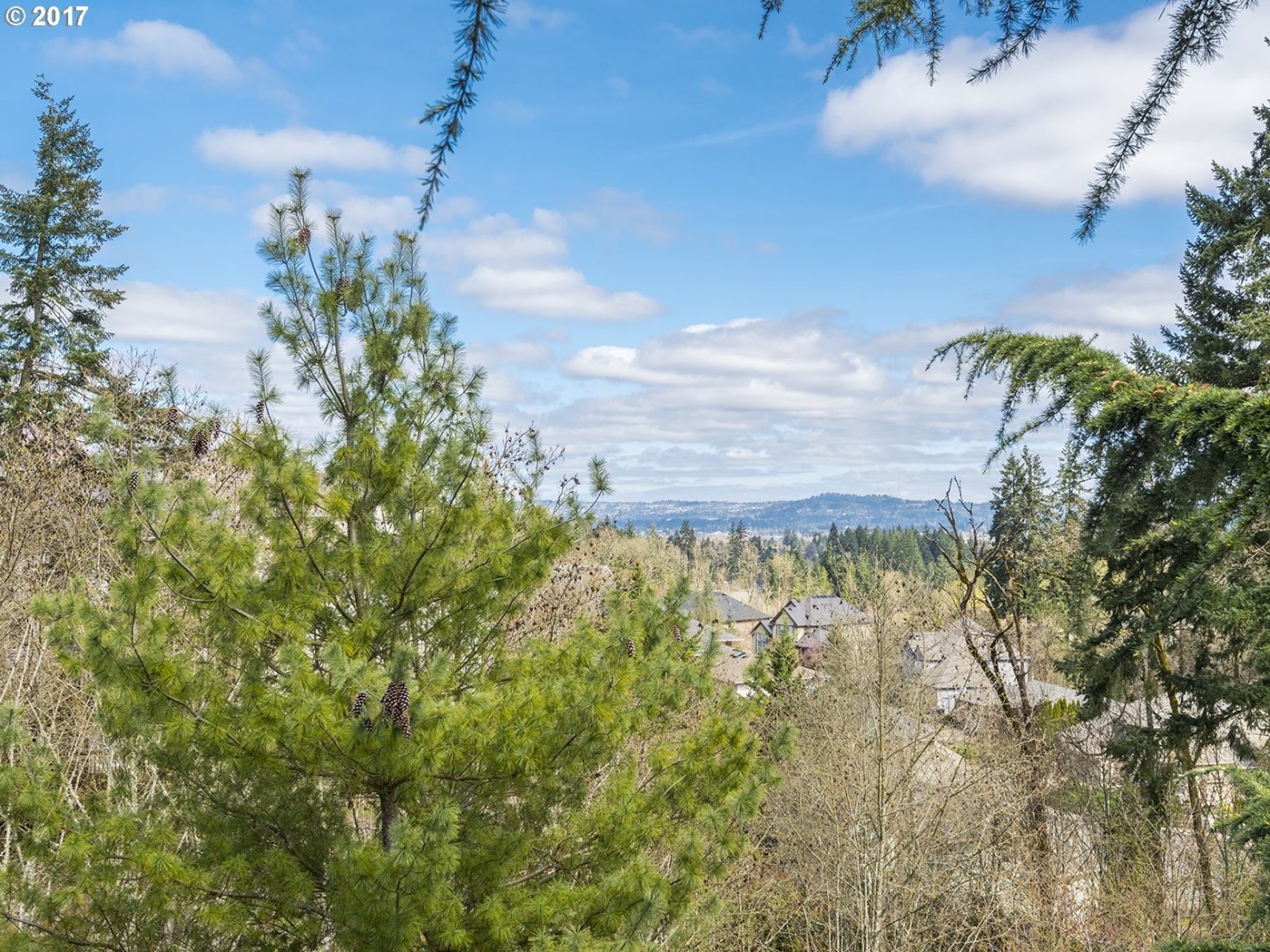 12859 Southwest Ridgefield Lane Tigard, OR 97223 - Photo 25 of 32 Gallery Image 25