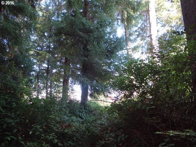 770 Ranch Road Reedsport, OR 97467 - Photo 11 of 12 Gallery Image 11