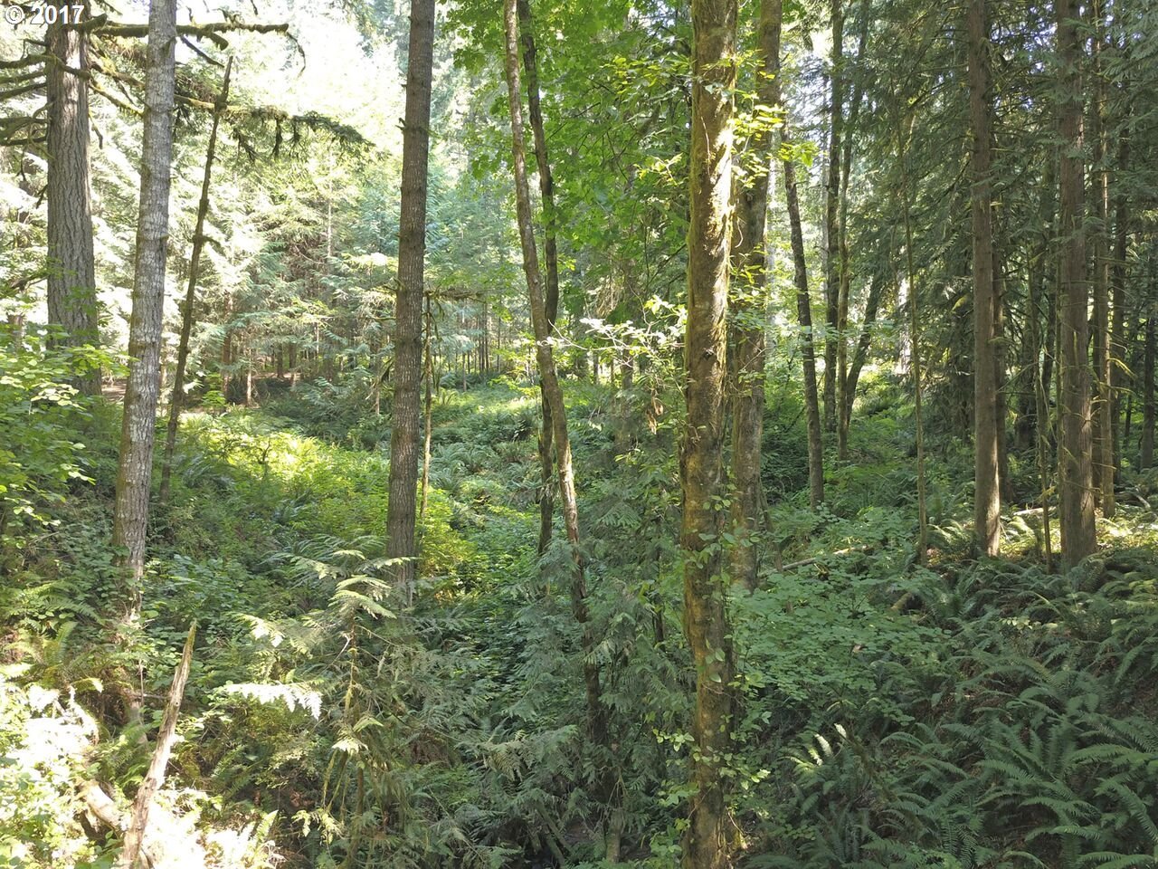 26260 Northwest Pihl Road Banks, OR 97106 - Photo 8 of 32 Gallery Image 8