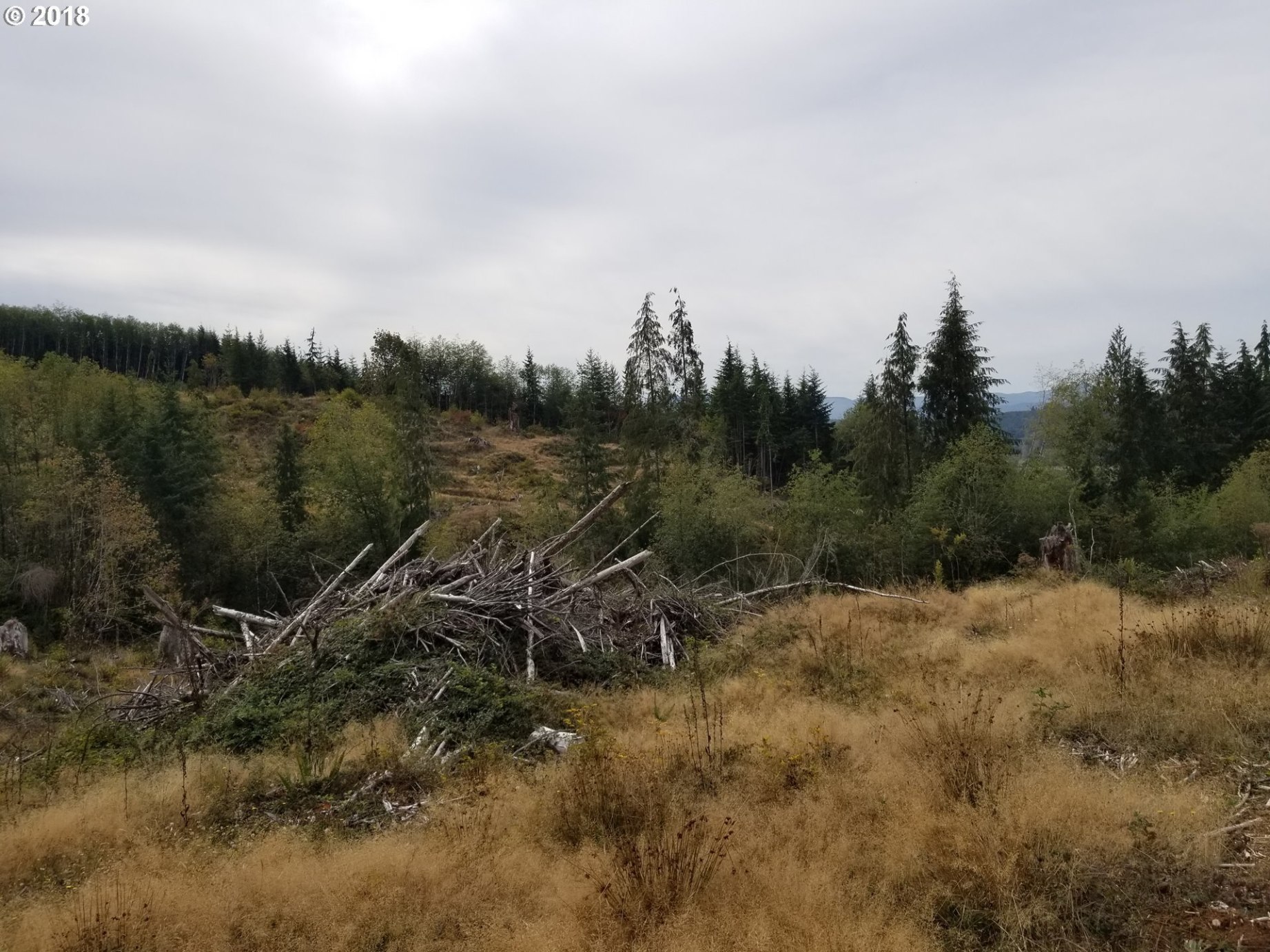 Elochoman Valley Cathlamet, WA 98612 - Photo 22 of 26