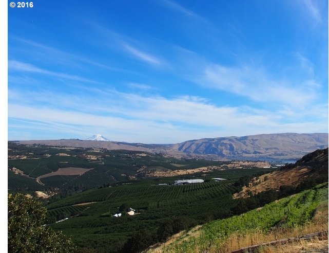 4277 Skyline Road The Dalles, OR 97058 - Photo 19 of 26 Gallery Image 19